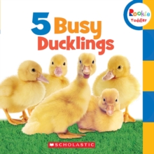 5 BUSY DUCKLINGS, Paperback Book 5 BUSY DUCKLINGS, Paperback Book