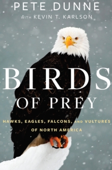 Houghton Mifflin Harcourt Birds Of Prey , Hawks, Eagles, Falcons, And Vultures Of North America
