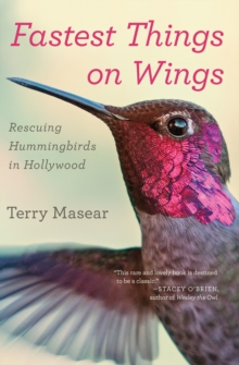 Fastest Things on Wings : Rescuing Hummingbirds in Hollywood