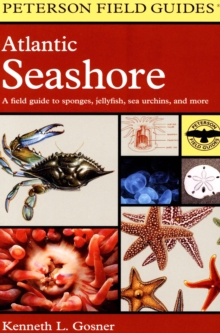 Atlantic Seashore : A Field Guide to Sponges, Jellyfish, Sea Urchins, and More