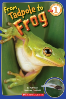 Scholastic Reader Level 1: From Tadpole to Frog, Paperback Book Scholastic Reader Level 1: From Tadpole to Frog, Paperback Book