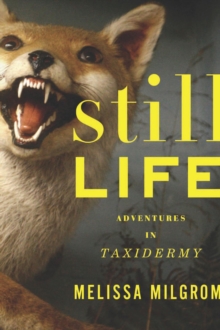 Still Life : Adventures in Taxidermy