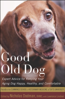 Good Old Dog : Expert Advice for Keeping Your Aging Dog Happy, Healthy, and Comfortable