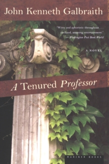 A Tenured Professor : A Novel