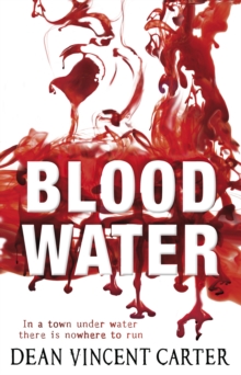Blood Water, Paperback Book Blood Water, Paperback Book