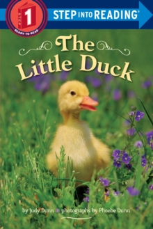 The Little Duck, Paperback / softback Book The Little Duck, Paperback / softback Book