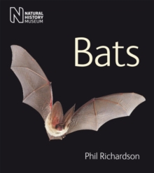 Bats, Paperback / softback Book Bats, Paperback / softback Book