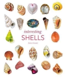 Interesting Shells