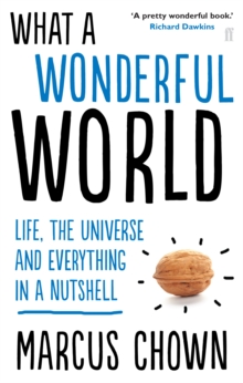 What a Wonderful World : Life, the Universe and Everything in a Nutshell