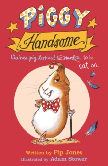 Piggy Handsome : Guinea Pig Destined for Stardom!