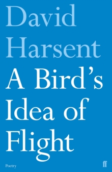 A Bird's Idea of Flight, Paperback Book A Bird's Idea of Flight, Paperback Book