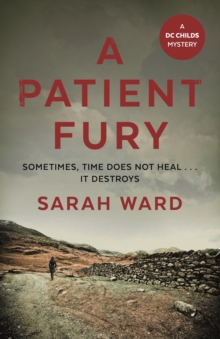 A Patient Fury, Hardback Book A Patient Fury, Hardback Book