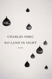 No Land in Sight : Poems