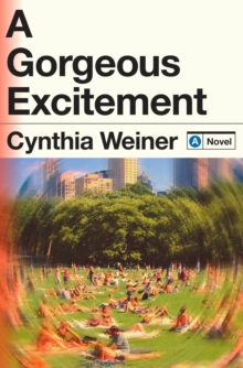 A Gorgeous Excitement : A Novel