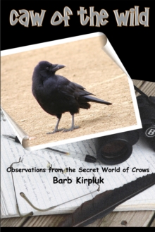 Caw of the Wild : Observations from the Secret World of Crows