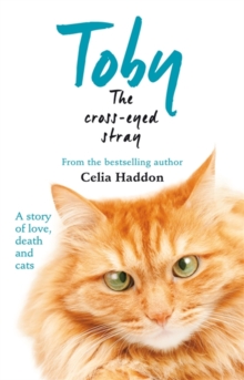 Toby the Cross-Eyed Stray, Paperback Book Toby the Cross-Eyed Stray, Paperback Book