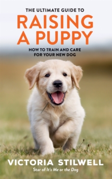 The Ultimate Guide To Raising A Puppy