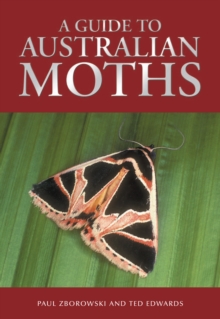 A Guide to Australian Moths