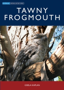 Tawny Frogmouth