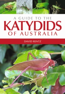 A Guide to the Katydids of Australia, Paperback / softback Book A Guide to the Katydids of Australia, Paperback / softback Book