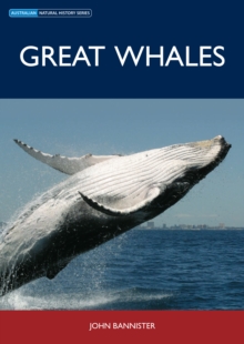 Great Whales