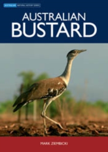 Australian Bustard