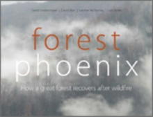 Forest Phoenix : How a Great Forest Recovers After Wildfire