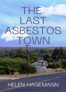 The Last Asbestos Town : a novel