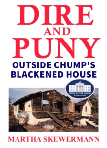 DIRE AND PUNY : Outside Chump's Blackened House