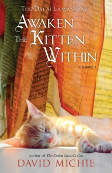 Dalai Lama's Cat Awaken the Kitten Within