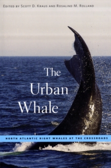 The Urban Whale : North Atlantic Right Whales at the Crossroads, Paperback / softback Book The Urban Whale : North Atlantic Right Whales at the Crossroads, Paperback / softback Book
