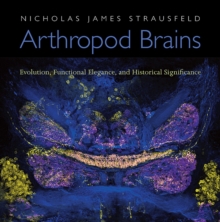 Arthropod Brains : Evolution, Functional Elegance, and Historical Significance