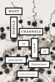 Many Subtle Channels : In Praise of Potential Literature