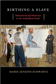 Birthing a Slave : Motherhood and Medicine in the Antebellum South