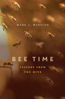 Bee Time : Lessons from the Hive