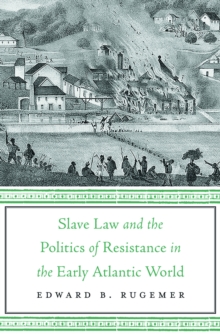 Slave Law and the Politics of Resistance in the Early Atlantic World