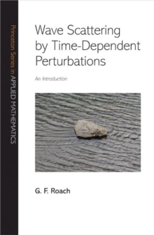Wave Scattering by Time-Dependent Perturbations : An Introduction, Hardback Book Wave Scattering by Time-Dependent Perturbations : An Introduction, Hardback Book