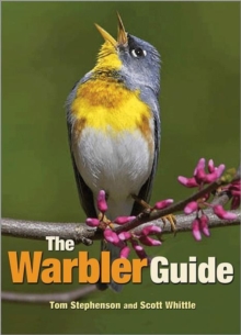 The Warbler Guide, Paperback / softback Book The Warbler Guide, Paperback / softback Book