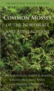 Common Mosses of the Northeast and Appalachians, Paperback / softback Book Common Mosses of the Northeast and Appalachians, Paperback / softback Book