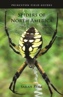 Spiders of North America