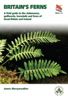 Ferns : Clubmosses, Quillworts and Horsetails of Britain and Ireland