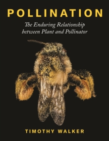 Pollination : The Enduring Relationship between Plant and Pollinator