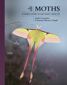 The Lives of Moths : A Natural History of Our Planet's Moth Life