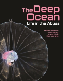 The Deep Ocean : Life in the Abyss