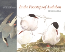 In the Footsteps of Audubon