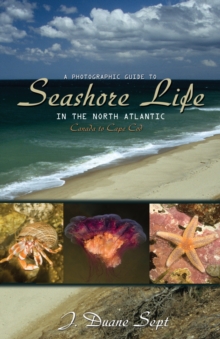 A Photographic Guide to Seashore Life in the North Atlantic : Canada to Cape Cod