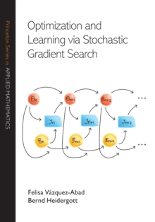 Optimization and Learning via Stochastic Gradient Search