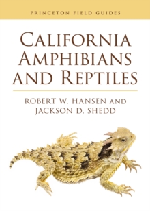 California Amphibians And Reptiles