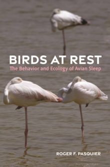 Birds at Rest : The Behavior and Ecology of Avian Sleep