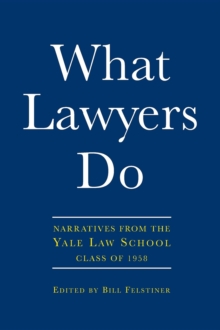 What Lawyers Do